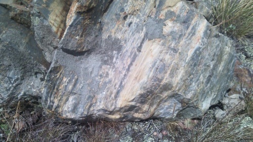 Гигантские зелёные валуны для ландшафтного дизайна весом более 5 тонн купить в Камышлове