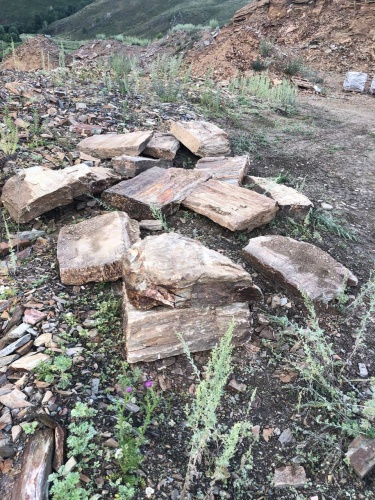 Плитняк кора дерева 50-100мм для пошаговых дорожек купить в Камышлове